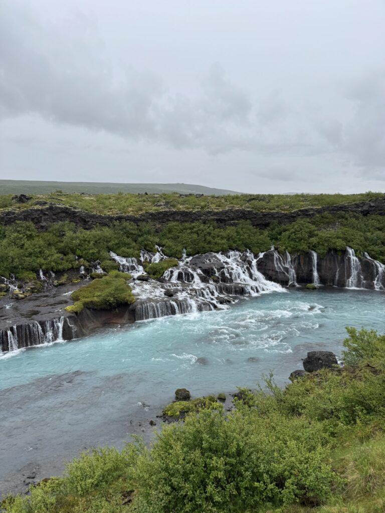 The wide series of Hraunfossar waterfalls flowing out of the Hallmundarhraun lava field into the turquoise Hvítá River