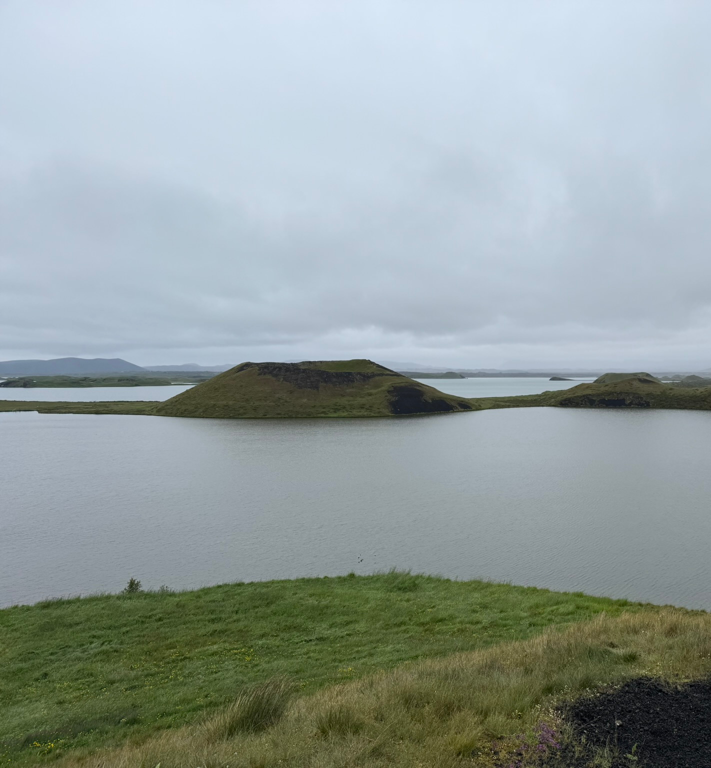 Skútustaðagígar
