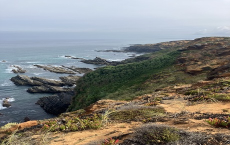 Fishermen’s Trail Difficulty: How Hard Is It Really? (Honest Assessment)