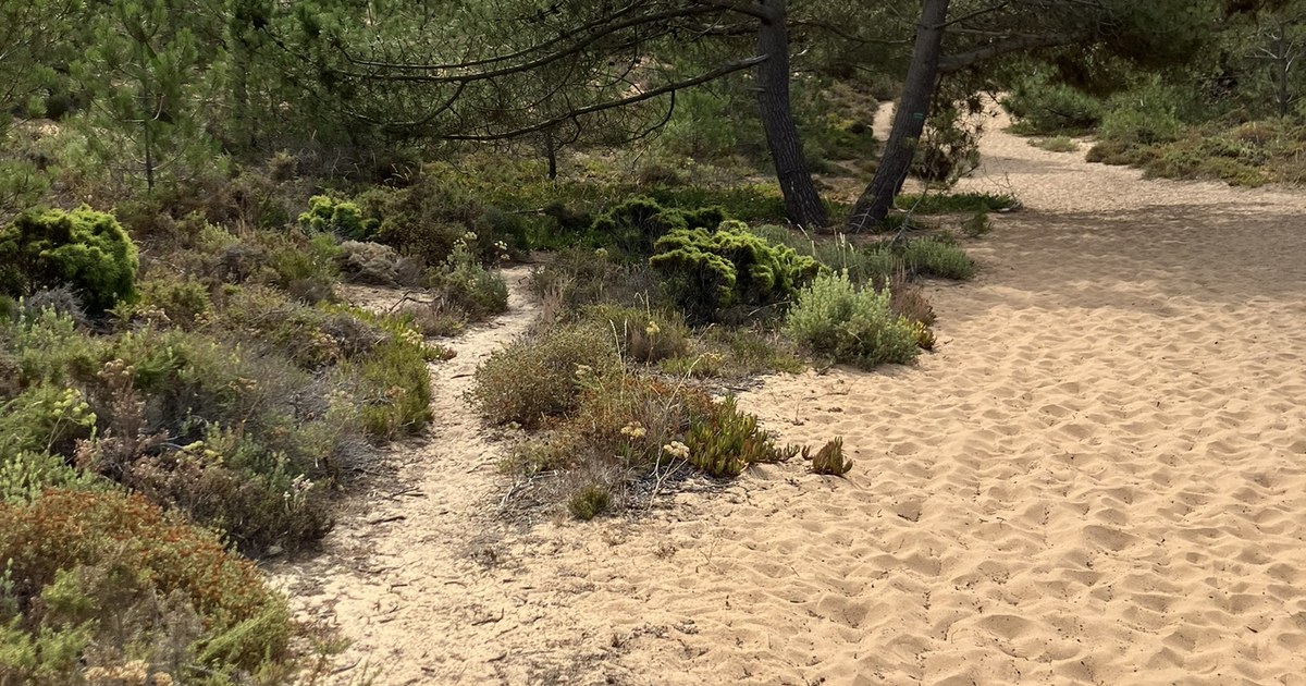 Fishermen’s Trail Packing List: What I Actually Carried (And What I Left Behind)