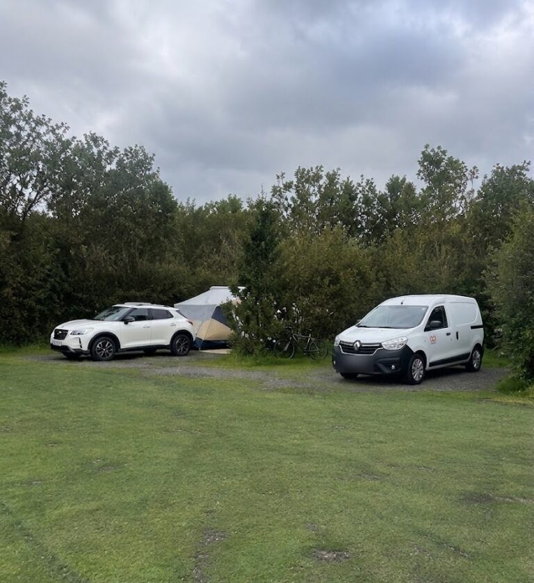 Cars, a van and a tent among birch trees at Mosskógar campsite near Reykjavík, Iceland